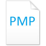 PMP icon