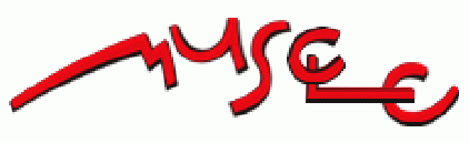 Logo MUSCLE NoE