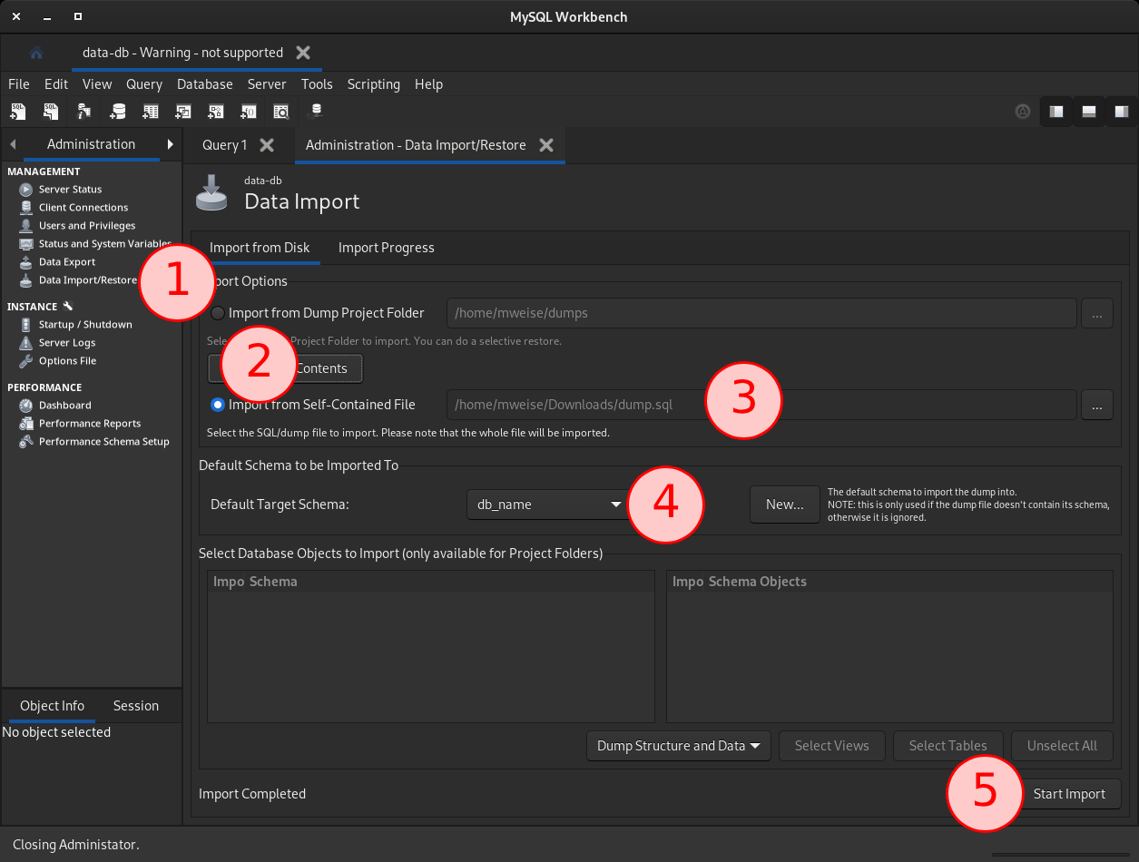 Data Import/Restore in MySQL Workbench